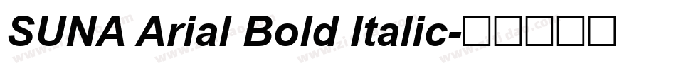 SUNA Arial Bold Italic字体转换